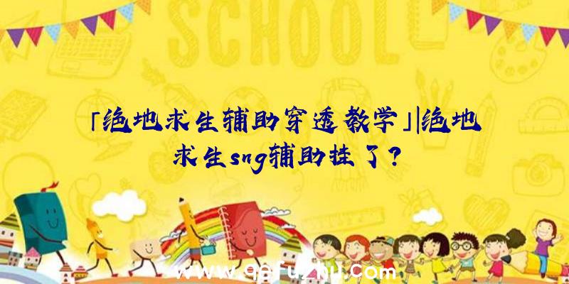 「绝地求生辅助穿透教学」|绝地求生sng辅助挂了？